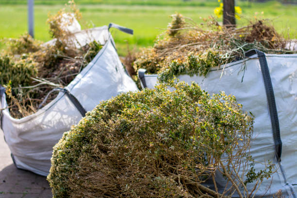 Best Residential Junk Removal  in Rpinteria, CA